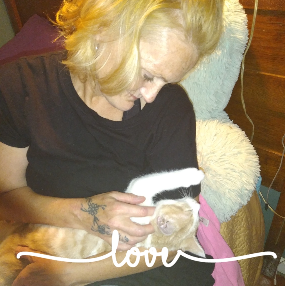 Meet your Posher, Jamie